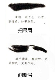 麻衣神相白话详解扫帚眉间断眉与命运